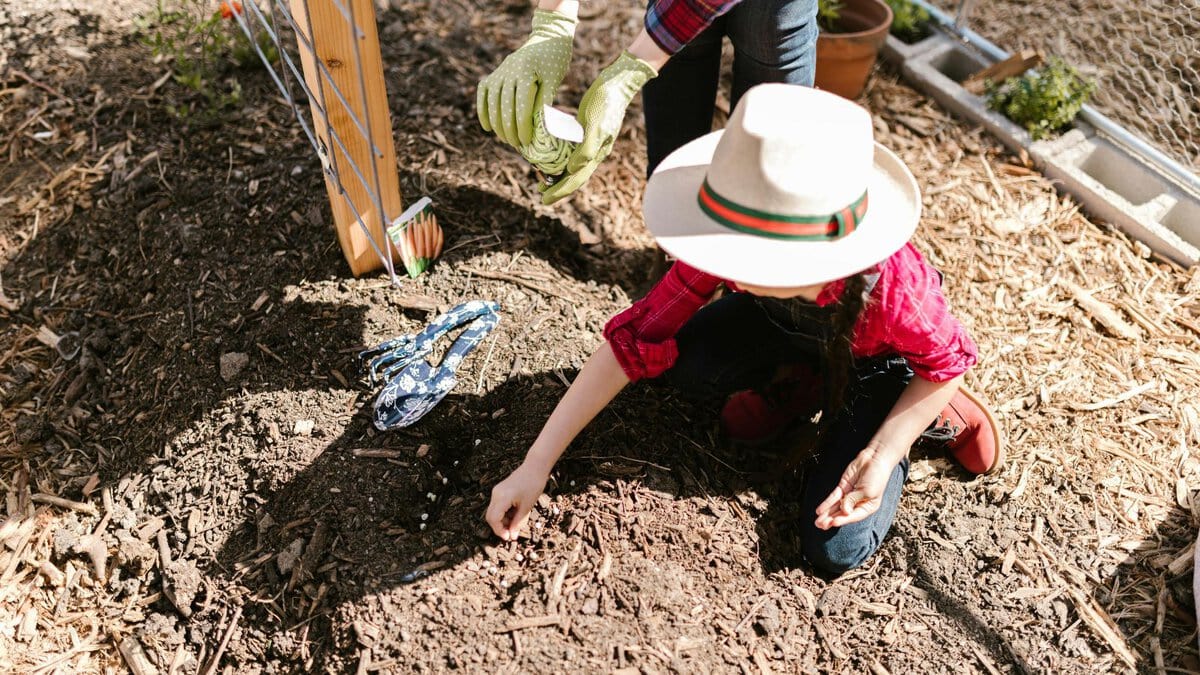 The Powerful Impact of Community Gardens on People and Places ...
