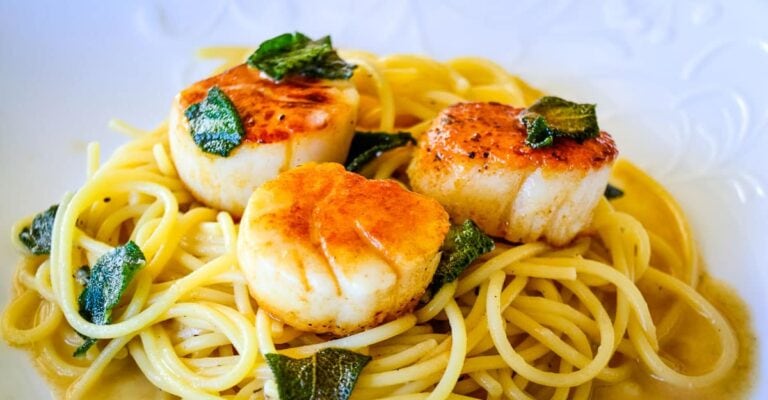Closeup photo of pasta with scallops on top.