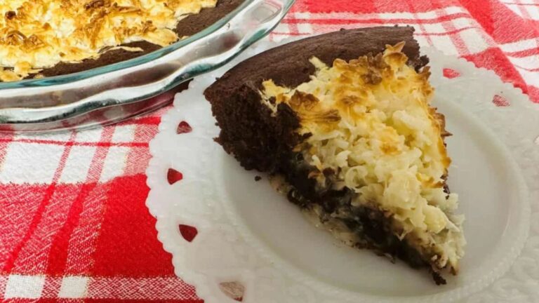 A slice of chocolate coconut pie on a plate.