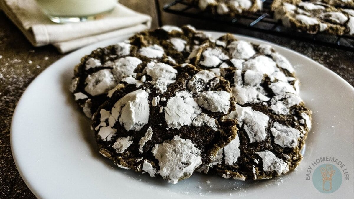 A plate of chai cookies with powdered sugar on it.